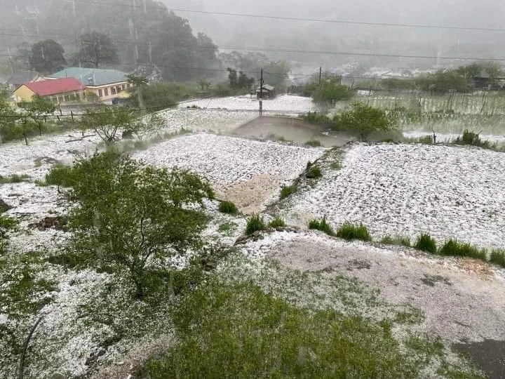 Mưa đá cực lớn tại Sơn La, sau hai tiếng đá vẫn to bằng cái chén 3.jpg