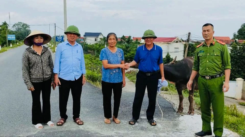 Con trâu khoảng 70 triệu bị lũ cuốn trôi dạt từ Phú Thọ về Hà Nội.jpg