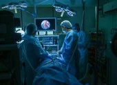 Chưa thoát COVID-19 và nấm đen, Ấn Độ đón thêm mối nguy cúm gia cầm