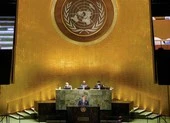 Ukraine yêu cầu Hội đồng Bảo an Liên Hợp Quốc họp khẩn về Donbass