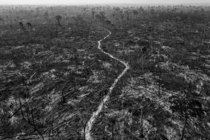 Giải dự án dài hạn: "Amazonian Dystopia" - Rừng nhiệt đới Amazon ở Brazil đang bị đe dọa nghiêm trọng trước nạn phá rừng, khai thác mỏ, phát triển cơ sở hạ tầng và khai thác các nguồn tài nguyên thiên nhiên. Ảnh: Lalo de Almeida (Brazil) Giải dự án dài hạn: "Amazonian Dystopia" - Rừng nhiệt đới Amazon ở Brazil đang bị đe dọa nghiêm trọng trước nạn phá rừng, khai thác mỏ, phát triển cơ sở hạ tầng và khai thác các nguồn tài nguyên thiên nhiên. Ảnh: Lalo de Almeida (Brazil)