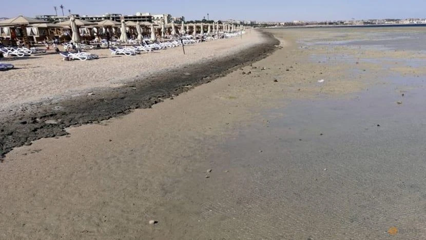Một phần bãi biển của khu nghỉ mát ở vịnh Sahl Hasheesh, TP Hurghada (Ai Cập), ngày 8-1-2020. Ảnh: REUTERS