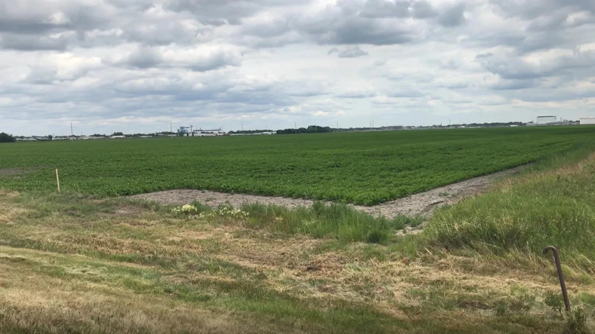 Khu đất mà Fufeng dự định xây dựng nhà máy chế biến ngô ở TP Grand Forks, bang North Dakota, Mỹ. Ảnh: FUFENG USA Khu đất mà Fufeng dự định xây dựng nhà máy chế biến ngô ở TP Grand Forks, bang North Dakota, Mỹ. Ảnh: FUFENG USA