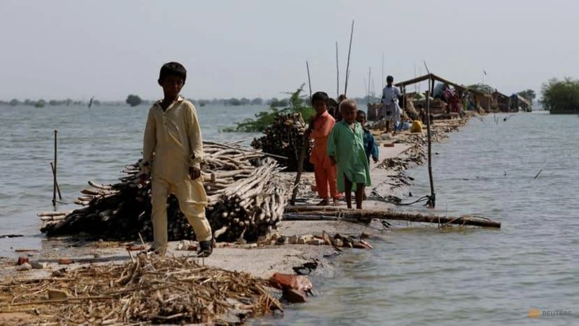 Người dân Pakistan sống vất vưởng trên một con đường bị ngập gần hết trong dòng nước lũ ở làng Bajara, TP Sehwan, ngày 6-9. Ảnh: REUTERS Người dân Pakistan sống vất vưởng trên một con đường bị ngập gần hết trong dòng nước lũ ở làng Bajara, TP Sehwan, ngày 6-9. Ảnh: REUTERS