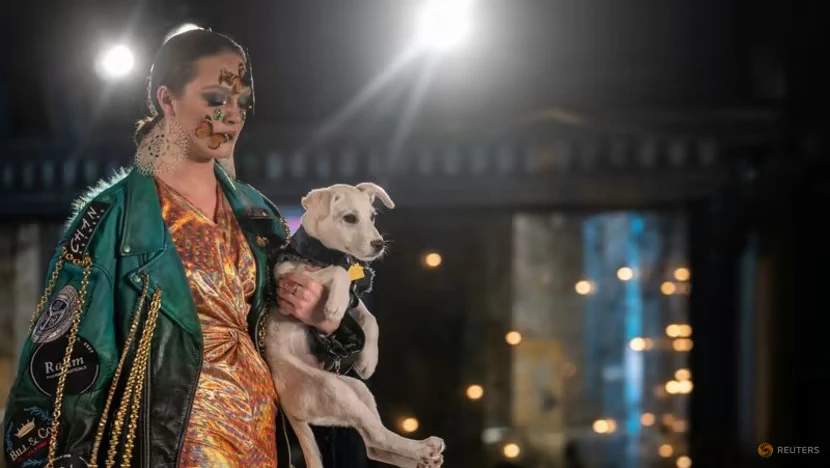 Một người mẫu bế chú chó trên tay trong buổi trình diễn thời trang CatWalk FurBaby ở New York, Mỹ, ngày 10-2. Ảnh: REUTERS Một người mẫu bế chú chó trên tay trong buổi trình diễn thời trang CatWalk FurBaby ở New York, Mỹ, ngày 10-2. Ảnh: REUTERS