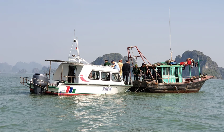 Lực lượng chức năng tỉnh Quảng Ninh kiểm tra tàu cá khai thác thuỷ sản trên vịnh Hạ Long Lực lượng chức năng tỉnh Quảng Ninh kiểm tra tàu cá khai thác thuỷ sản trên vịnh Hạ Long