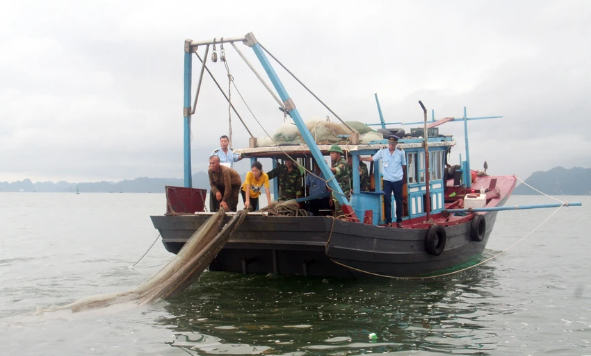 Lực lượng chức năng tỉnh Quảng Ninh kiểm tra tàu cá khai thác thuỷ sản trên vịnh Hạ Long Lực lượng chức năng tỉnh Quảng Ninh kiểm tra tàu cá khai thác thuỷ sản trên vịnh Hạ Long