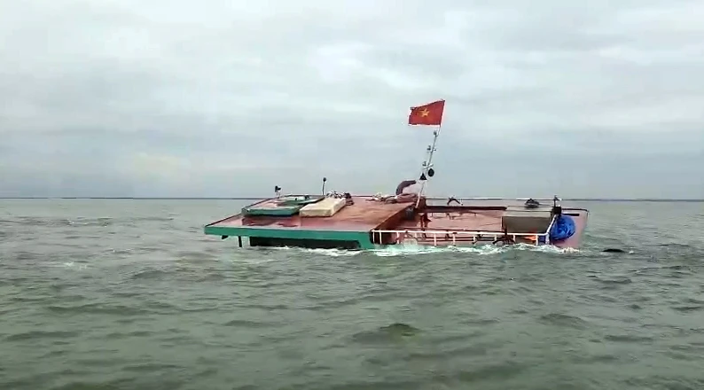 cuu-nan-tau-chim-1.jpg