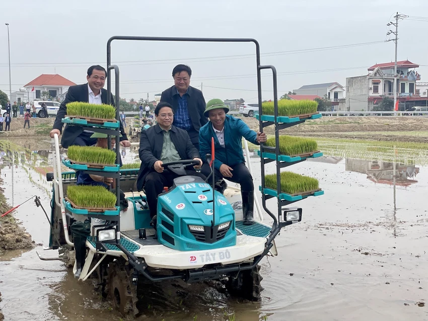 thu-tuong-xuong-dong-cay-lua-cung-nong-dan-hai-duong-1.jpeg