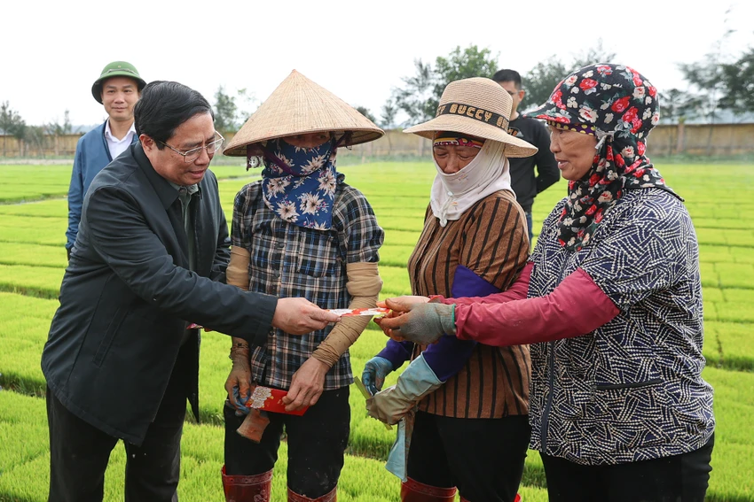 thu-tuong-xuong-dong-cay-lua-cung-nong-dan-hai-duong-2.jpeg