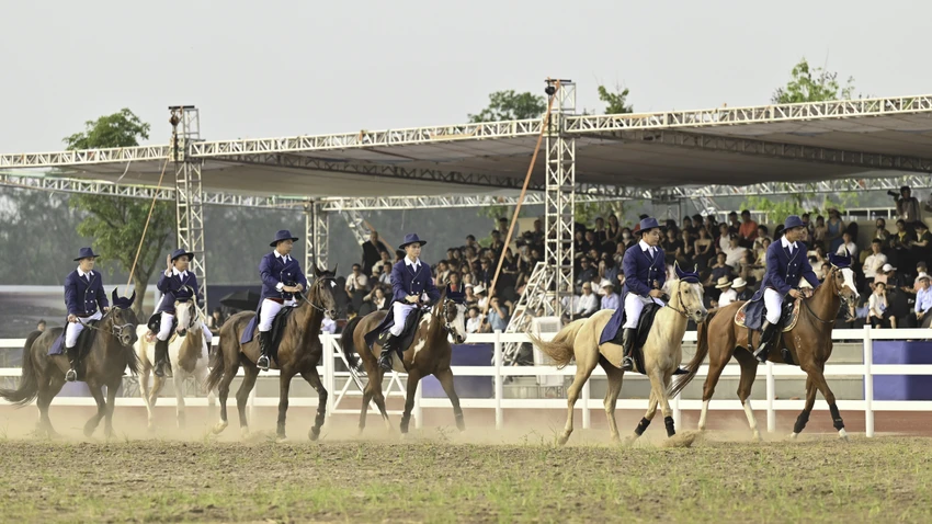 ra-mat-hoc-vien-cuoi-ngua-phong-cach-hoang-gia-dau-tien-tai-viet-nam-o-hai-phong-5.jpg