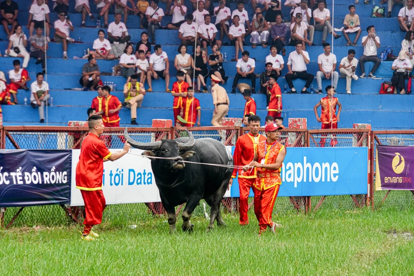 hang-nghin-du-khach-xem-le-hoi-choi-trau-do-son-2024-8.jpg