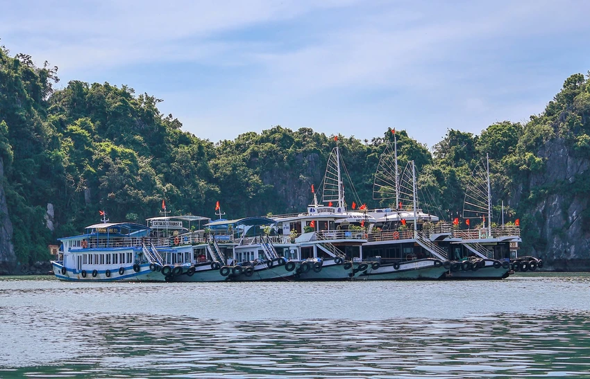cac-dac-khu-tai-hai-phong-quang-ninh-hoi-ha-phong-chong-bao-so-9-2.jpg