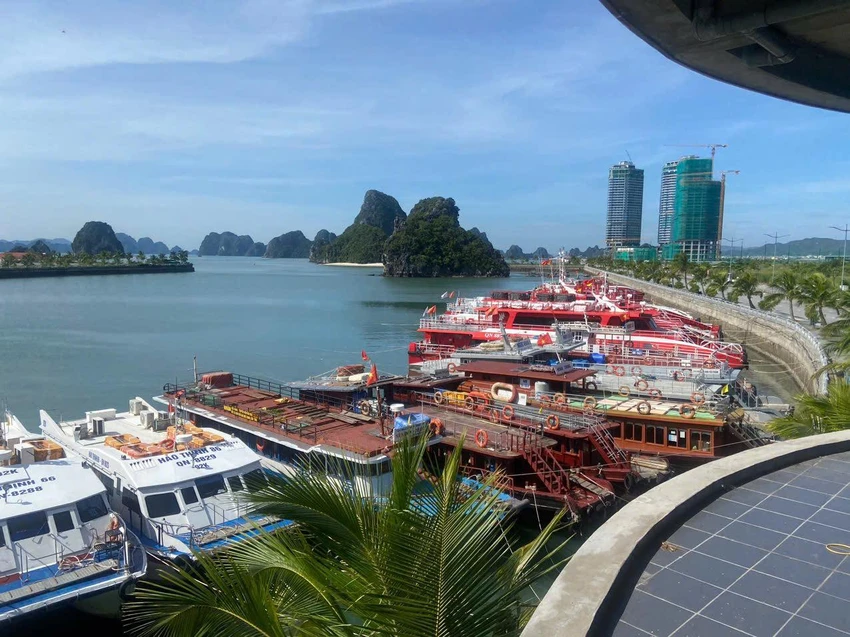 cac-dac-khu-tai-hai-phong-quang-ninh-hoi-ha-phong-chong-bao-so-9-6.jpg