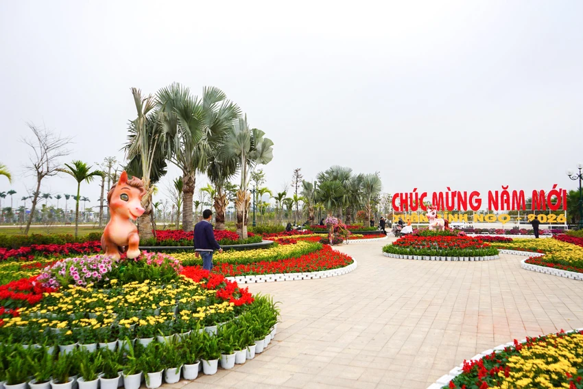 linh-vat-ngua-xuat-hien-tai-hai-phong-sau-nhieu-cho-mong-4.JPG