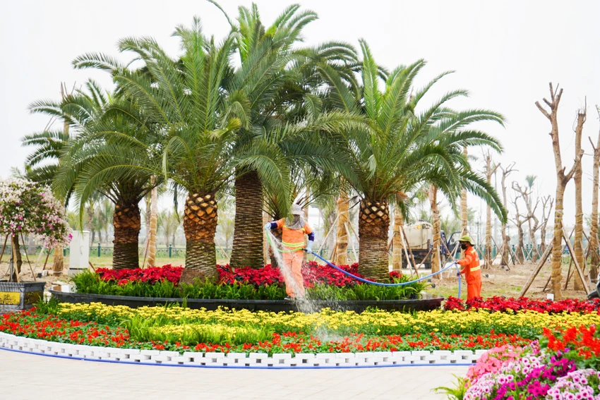 linh-vat-ngua-xuat-hien-tai-hai-phong-sau-nhieu-cho-mong-6.JPG