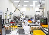 Vedan tố Trung Quốc bán phá giá bột ngọt
