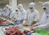 Việt Nam xuất khẩu cá ngừ sang Đức tăng mạnh 