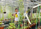 Tài Trần: khởi nghiệp tay trắng đến chủ vườn lan đột biến