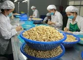 Nhiều công ty Việt suýt mất 1.000 tỉ đồng vì bị lừa 