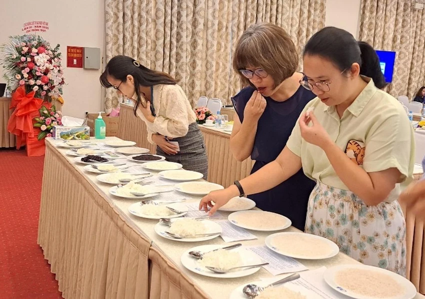 Tiêu chí gạo ngon còn tính đến khả năng thương mại hóa, khả năng canh tác đại trà. Tiêu chí gạo ngon còn tính đến khả năng thương mại hóa, khả năng canh tác đại trà.