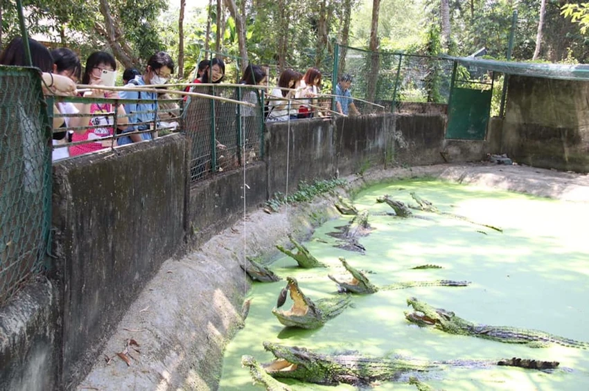 trai-ca-sau-xuat-khau3.jpg