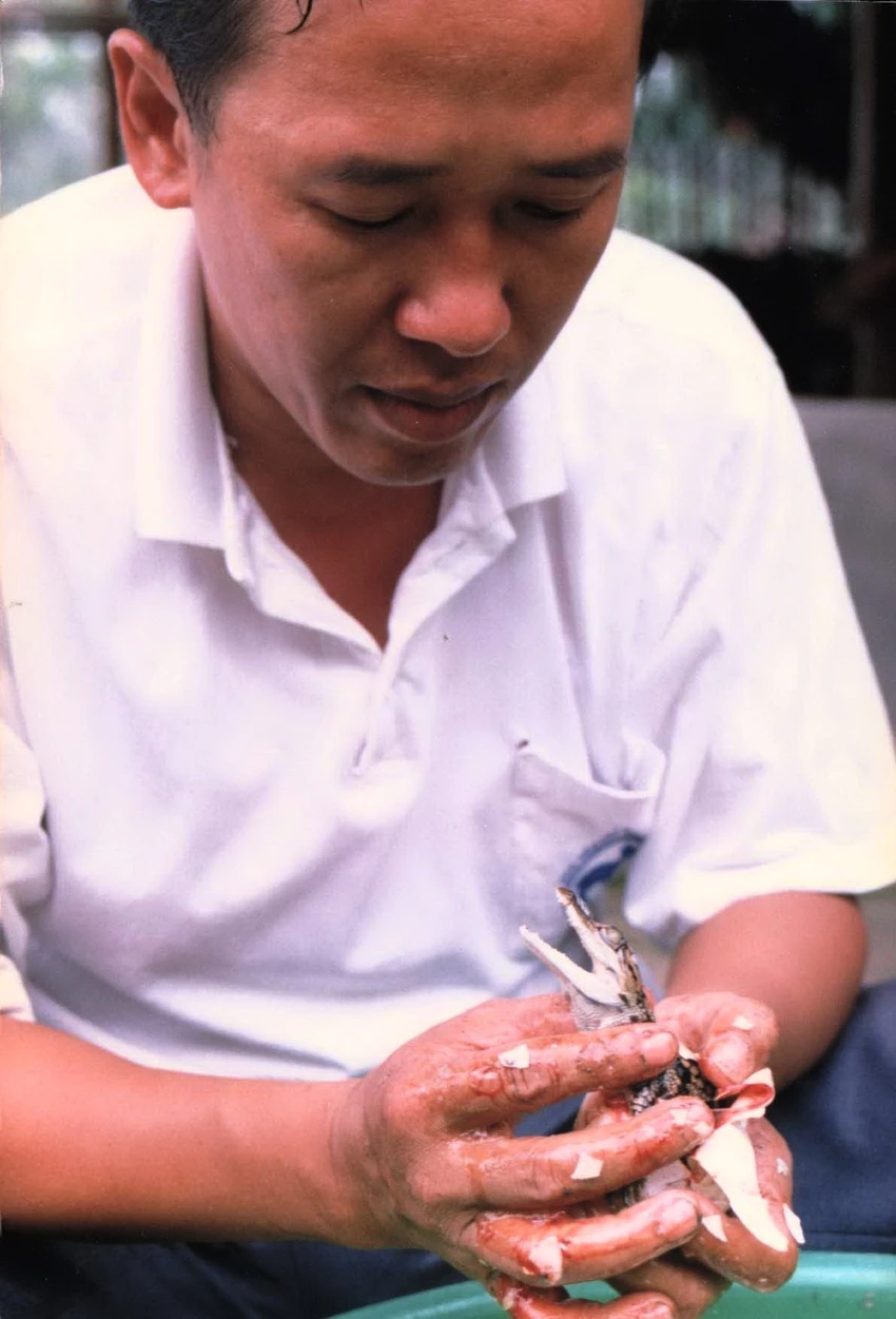 trại cá sấu