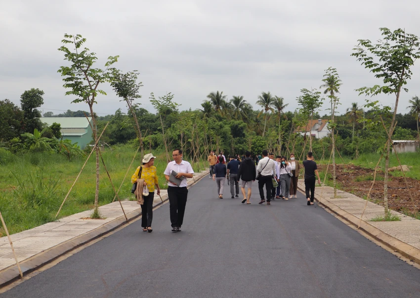 giá đất nền