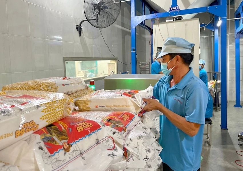 gao-Viet-Nam-xk.jpg