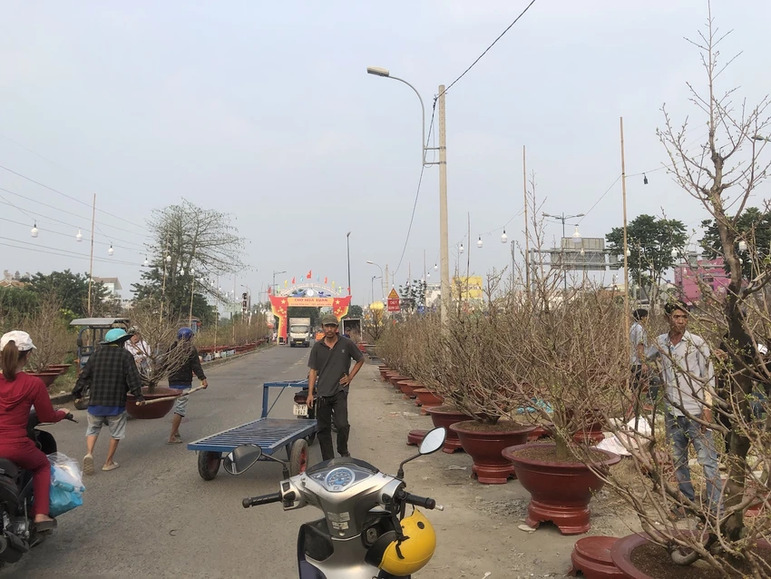 chợ hoa Tết