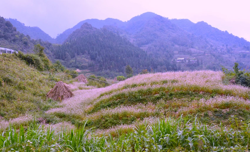 du-lich-ha-giang-h3.JPG