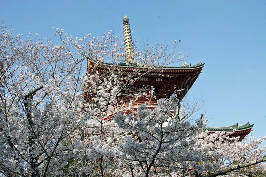 diem-den-tiet-kiem- Narita.jpg
