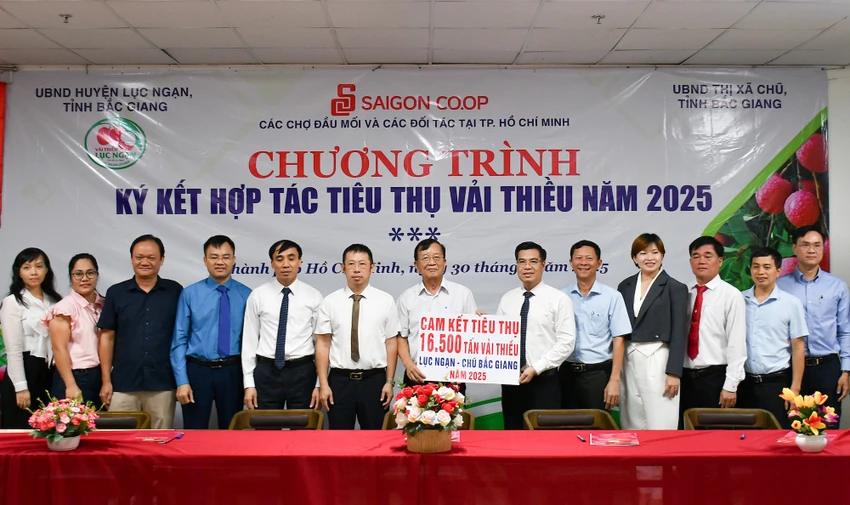 vai-thieu-luc-ngan-bac-giang-tphcm2.jpg