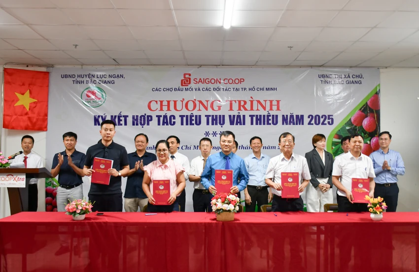vai-thieu-luc-ngan-bac-giang-tphcm3.jpg