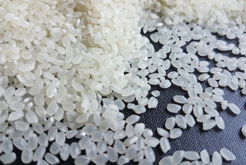 gao-japonica.jpeg