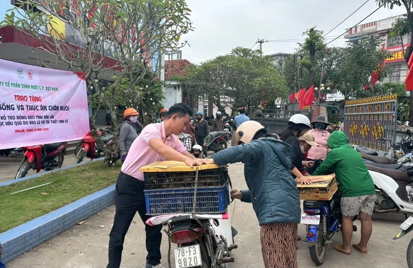 C.-P.-Viet-Nam-tang-ga-giong-vung-thien-tai-h3.JPG