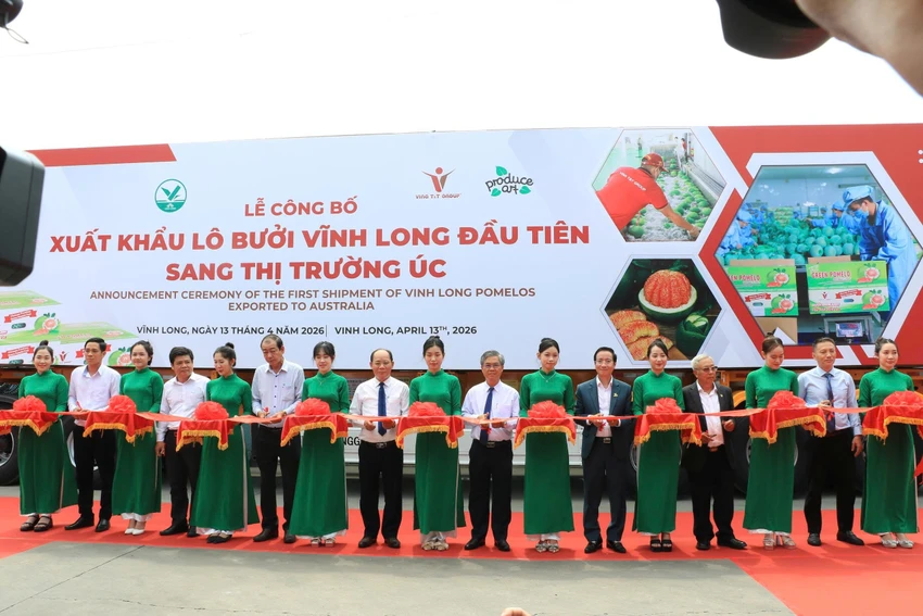 buoi-da-xanh-xuat-khau-Uc-Vinh-Long2.JPG