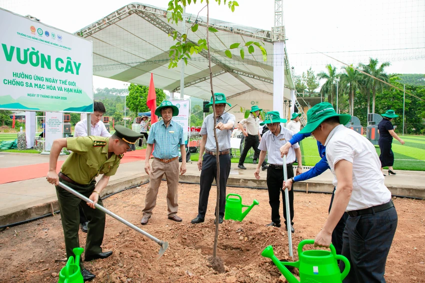 C.P.-Viet-nam-trong-cay-giong-cay-xanh-lam-nghiep3.jpg