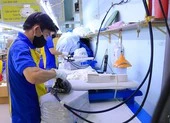 Doanh nghiệp TP.HCM tái cấu trúc, tìm kiếm cơ hội