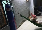 Túi thuốc, ôxy trao tận nhà cho F0 ở TP.HCM 