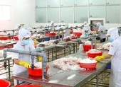 Những dự tính ban đầu cho bình thường mới ở TP.HCM
