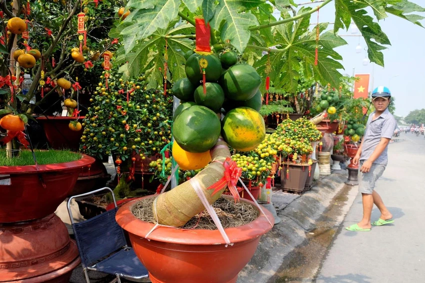 trai-cay-vao-chau
