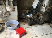 Giết mổ gia cầm không đảm bảo, có cấm được không?