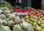 Đào, mận, táo Trung Quốc lại ồ ạt nhập vào Việt Nam