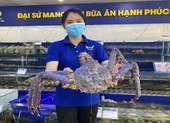 Phát hiện cua cực hiếm nhập vào VN, giá 100 triệu không bán