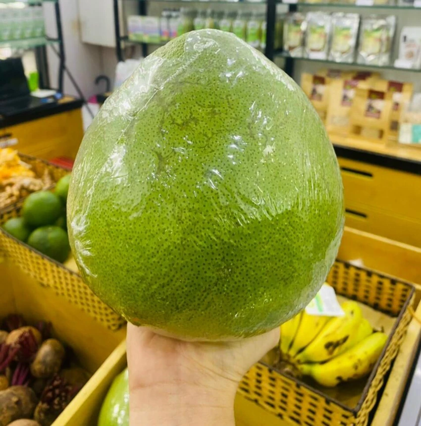 Bưởi có chứa nootkatone- một hóa chất tự nhiên có thể chống muỗi, ve hiệu quả. ẢNH: HẠ QUYÊN Bưởi có chứa nootkatone- một hóa chất tự nhiên có thể chống muỗi, ve hiệu quả. ẢNH: HẠ QUYÊN