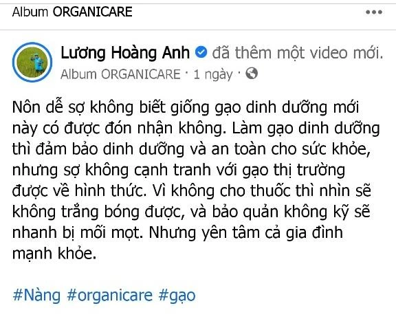 Bài đăng về gạo gây tranh cãi của doanh nhân Lương Hoàng Anh. ẢNH: Chụp màn hình Bài đăng về gạo gây tranh cãi của doanh nhân Lương Hoàng Anh. ẢNH: Chụp màn hình