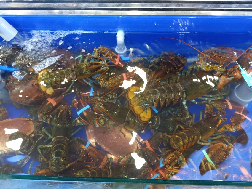 Thèm ăn một món cụ thể nào đó, rất có thể bạn đang thiếu chất. ẢNH: HẠ QUYÊN Thèm ăn một món cụ thể nào đó, rất có thể bạn đang thiếu chất. ẢNH: HẠ QUYÊN