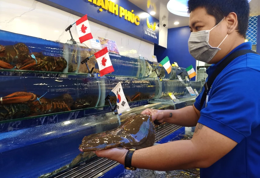 Người Việt tăng chi tiêu cho hải sản. Ảnh minh họa về hải sản: Hạ Quyên Người Việt tăng chi tiêu cho hải sản. Ảnh minh họa về hải sản: Hạ Quyên