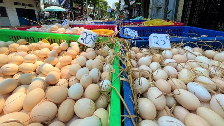Nhiều điểm bán trứng mọc lên giữa lề đường với giá khá rẻ. Ảnh: Tú Uyên Nhiều điểm bán trứng mọc lên giữa lề đường với giá khá rẻ. Ảnh: Tú Uyên